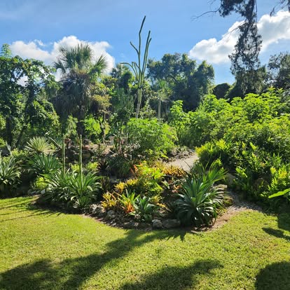 Give to Sarasota Succulent Society | Giving Challenge
